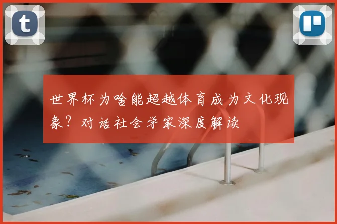 世界杯为啥能超越体育成为文化现象?对话社会学家深度解读