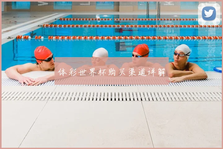 体彩世界杯购买渠道详解