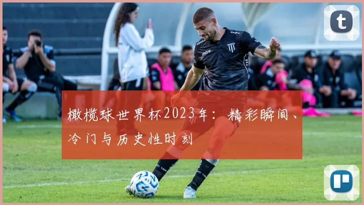 橄榄球世界杯2023年：精彩瞬间、冷门与历史性时刻