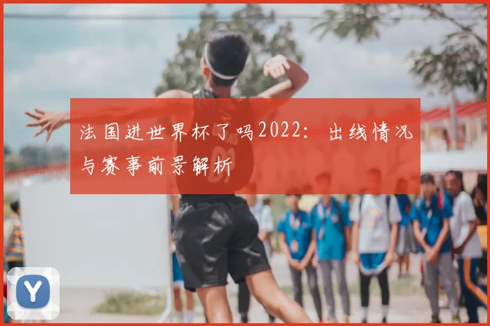 法国进世界杯了吗2022：出线情况与赛事前景解析