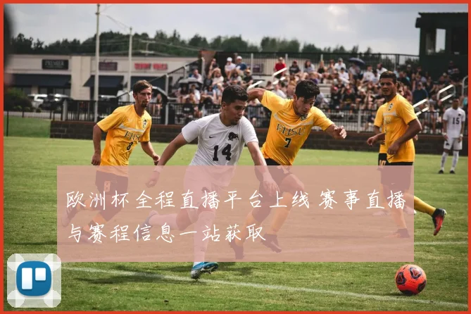 欧洲杯全程直播平台上线 赛事直播与赛程信息一站获取