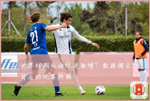 世界杯期间伪球迷激增？数据揭示背后的观赛热潮