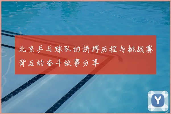 北京乒乓球队的拼搏历程与挑战赛背后的奋斗故事分享