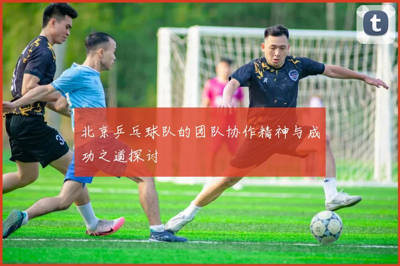 北京乒乓球队的团队协作精神与成功之道探讨