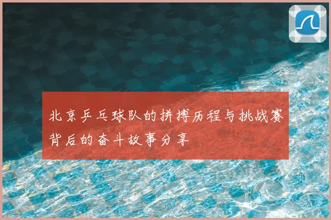 北京乒乓球队的拼搏历程与挑战赛背后的奋斗故事分享