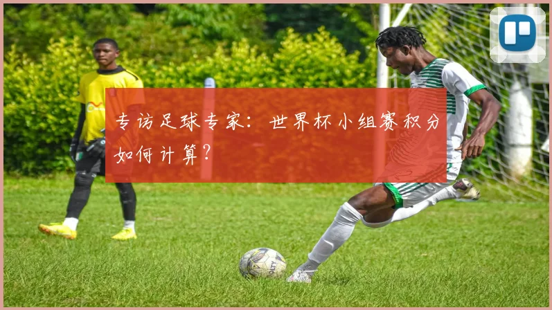 专访足球专家：世界杯小组赛积分如何计算？