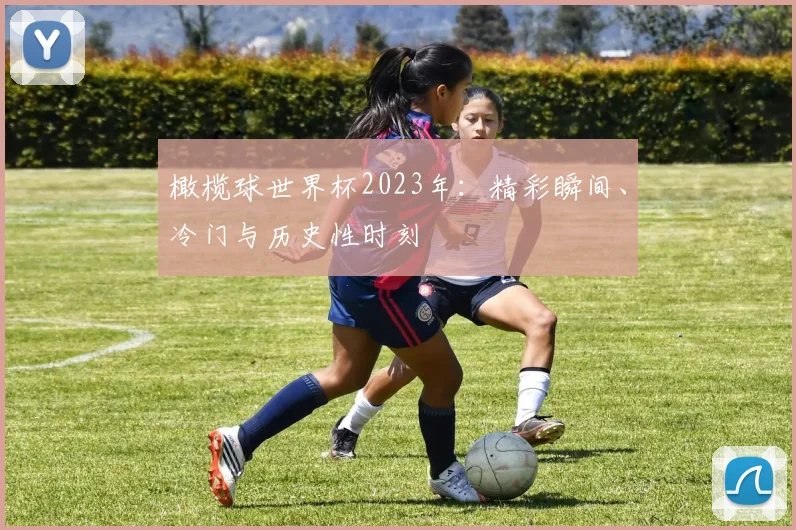 橄榄球世界杯2023年：精彩瞬间、冷门与历史性时刻