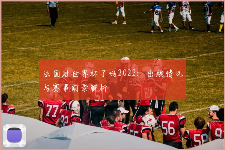 法国进世界杯了吗2022：出线情况与赛事前景解析