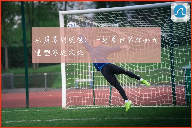 从屏幕到现场：一起看世界杯如何重塑球迷文化