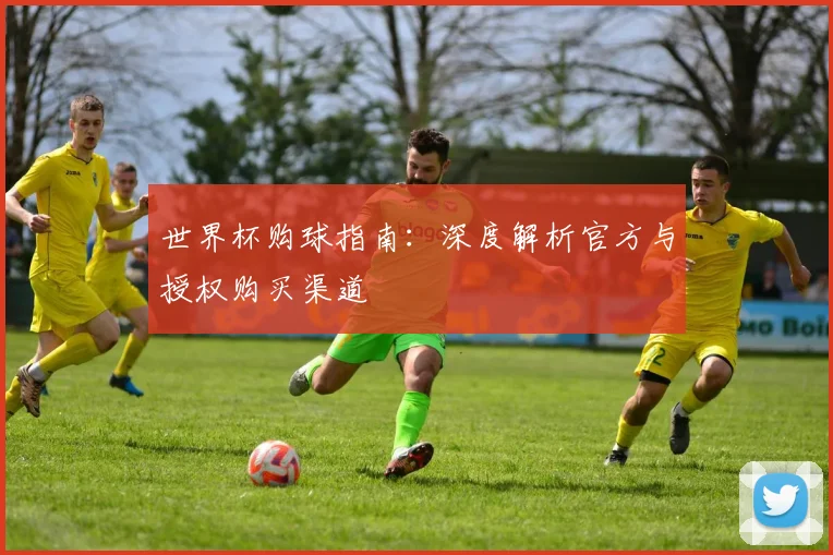 世界杯购球指南：深度解析官方与授权购买渠道