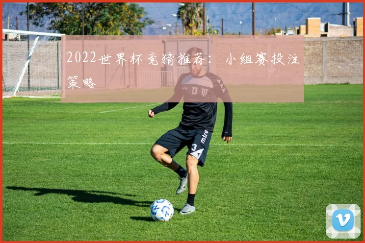 2022世界杯竞猜推荐：小组赛投注策略